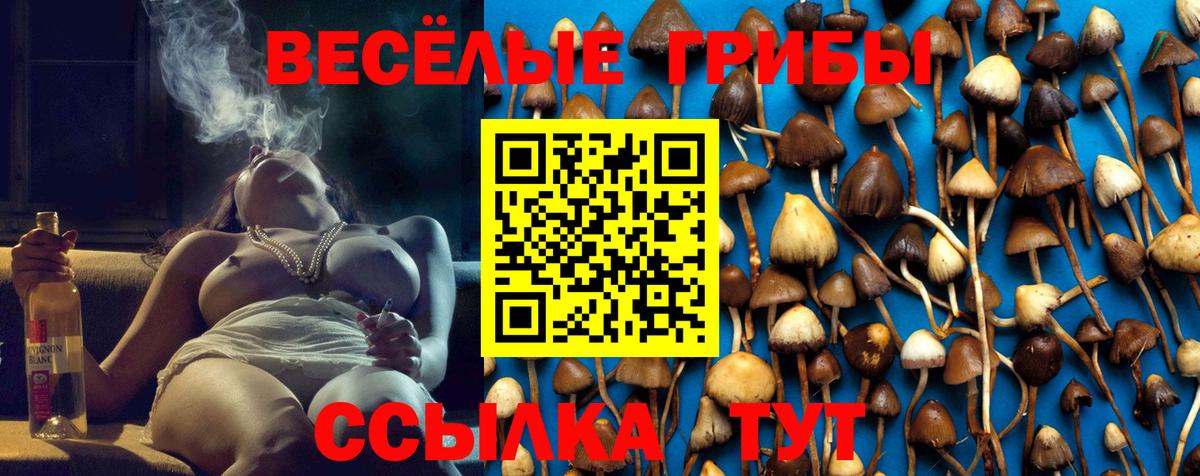 Кимры  Псилоцибиновые грибы мухоморы  Вход с VPN 